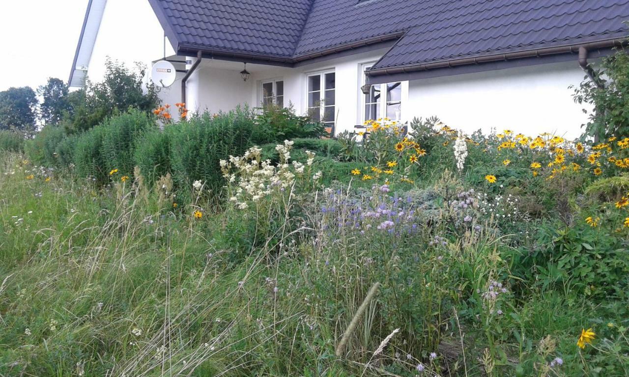 Bizon Guest House Sadowne Exterior photo